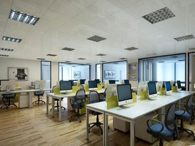 成人全脑开发培养